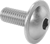 Extra-Wide Flanged Button Head Screws