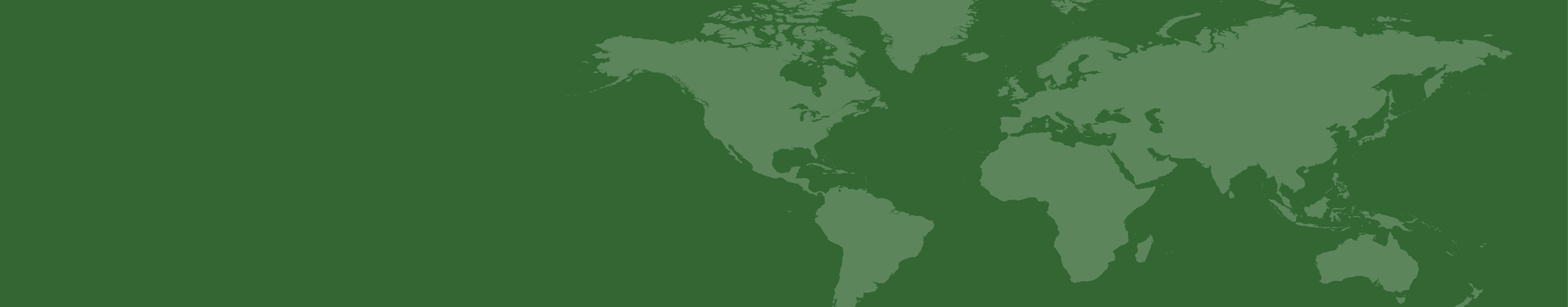 International Delivery Banner