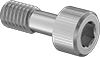 Captive Screw
