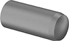 Dowel Pin