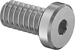 Low-Profile Socket Head Screw