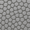Spec Image