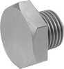 Pipe Plugs