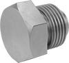 Pipe Plugs