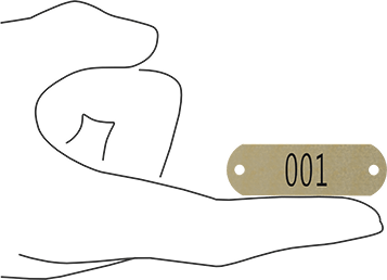 Image of Product. Side1 orientation. Contains SizingReference. Sequentially Numbered Plates, 304 Stainless Steel Rectangle, 5/8" x 1-15/16", Characters 001-010.