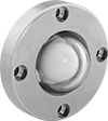 Image of Product. Front orientation. Sights. Easy-View Flanged Sights.