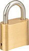 Weather-Resistant Resettable Combination Padlocks