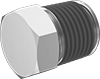 Low-Pressure Galvanized Iron and Steel Threaded Pipe Fittings with Sealant