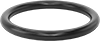 Chemical-Resistant Clean Room Viton® Fluoroelastomer O-Rings