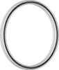 Spring-Loaded Seals