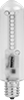 Screw-In-Base Light Bulbs