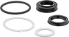 Cylinder Seals