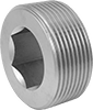 Pipe Plugs