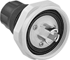 Electrical Plugs