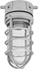 Wet-Location Ceiling and Wall Lights with Guard