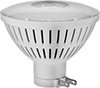 Side-Prong Base Floodlight Bulbs