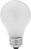 Screw-In-Base Light Bulbs