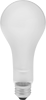 Screw-In-Base Light Bulbs