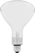 Image of Product. Front orientation. Heat Lamp Bulbs. Heat Lamp Bulbs, R40 Bulb Shape.