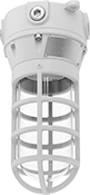 Image of Product. Front orientation. Ceiling and Wall Lights. Hazardous Location Ceiling and Wall Lights, LED, Clear Lens, Ceiling Fastener Mount.