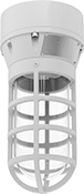 Image of Product. Front orientation. Ceiling and Wall Lights. Hazardous Location Ceiling and Wall Lights, LED, Clear Lens, Ceiling Thread On.