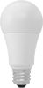Screw-In-Base Light Bulbs