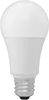 Screw-In Base Light Bulbs