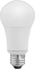 Screw-In Base Light Bulbs