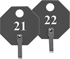 Image of Product. Front orientation. Tags. Sequentially Numbered Key Tags, Octagon with Brass Security Tab.