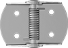 Light Duty Spring Hinges