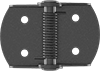 Light Duty Spring Hinges