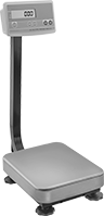 Image of Product. Front orientation. Scales. Legal-for-Trade Counting Floor Scales.