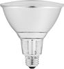 Screw-In Base Floodlight Bulbs