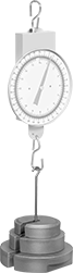 Image of Product. Shown with Optional Hanger. Front orientation. Test Weights. Interlocking Test Weights.