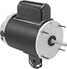 Pedestal Fan Motors