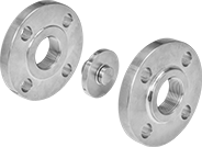 Image of System. Shown with Flanges (Not Included). Front orientation. Contains MultipleImages. Check Valves. Compact Flange-Mount Check Valves.