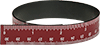 Magnetic Rulers