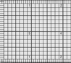 Image of Product. Front orientation. ZoomedIn view. Rulers. See-Through Rulers, Center Finding, Style A.