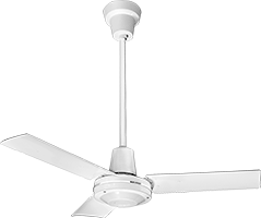 Image of Product. Front orientation. Fans. Ceiling Fans.