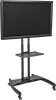 Flat-Panel Monitor Mobile Stands