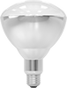 Heat Lamp Bulbs
