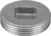Pipe Plugs