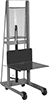 Manual Lift Trucks with Platform