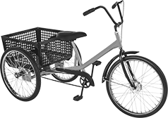 Image of Product. Front orientation. Cycles. Style D.