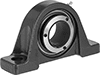 Mounted Bearings