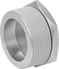 Low-Pressure Brass and Bronze Threaded Pipe Fittings with Sealant