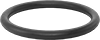 Steam- and Chemical-Resistant Viton® ETP Fluoroelastomer O-Rings