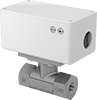 Flow Switches