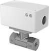 Flow Switches