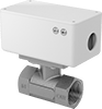Flow Switches